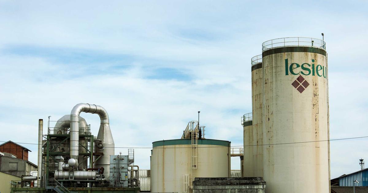 featured 1773648286123