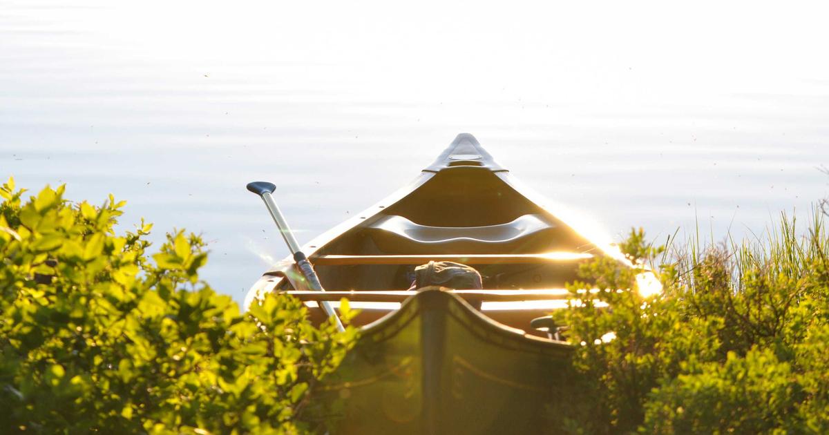 featured 1774122630241