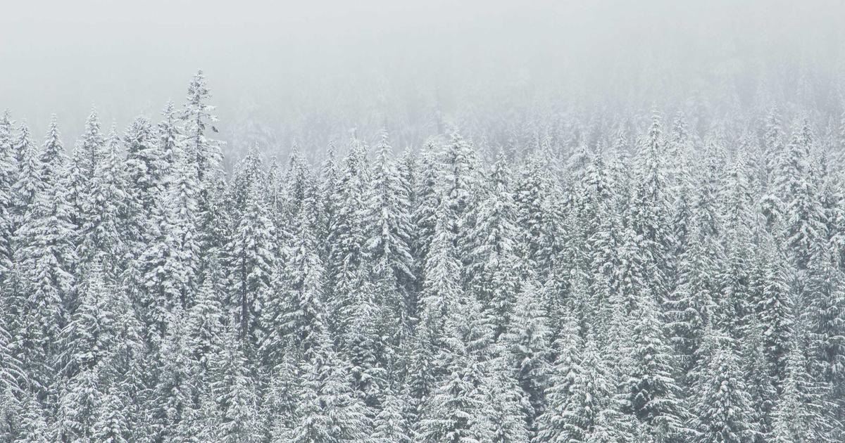 featured 1774288015608