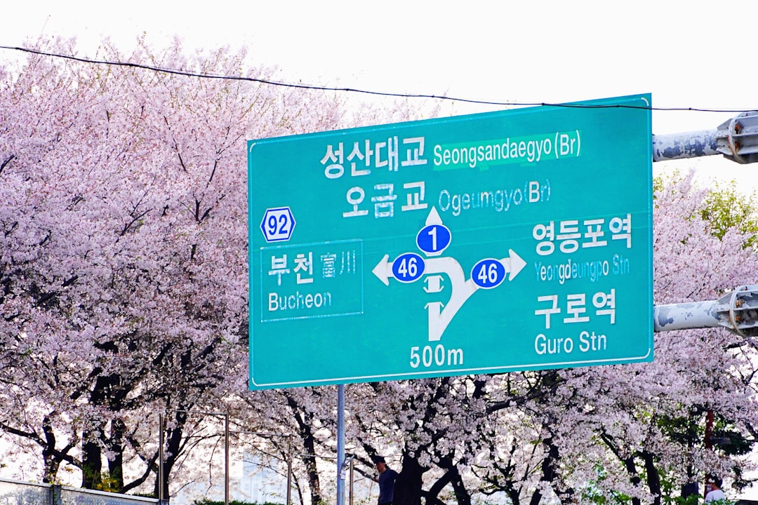 월 소상공인 대상 맞춤형 지원금 안내: 최신 자격 요건과 신청 절차로 경제적 부담 완화하기