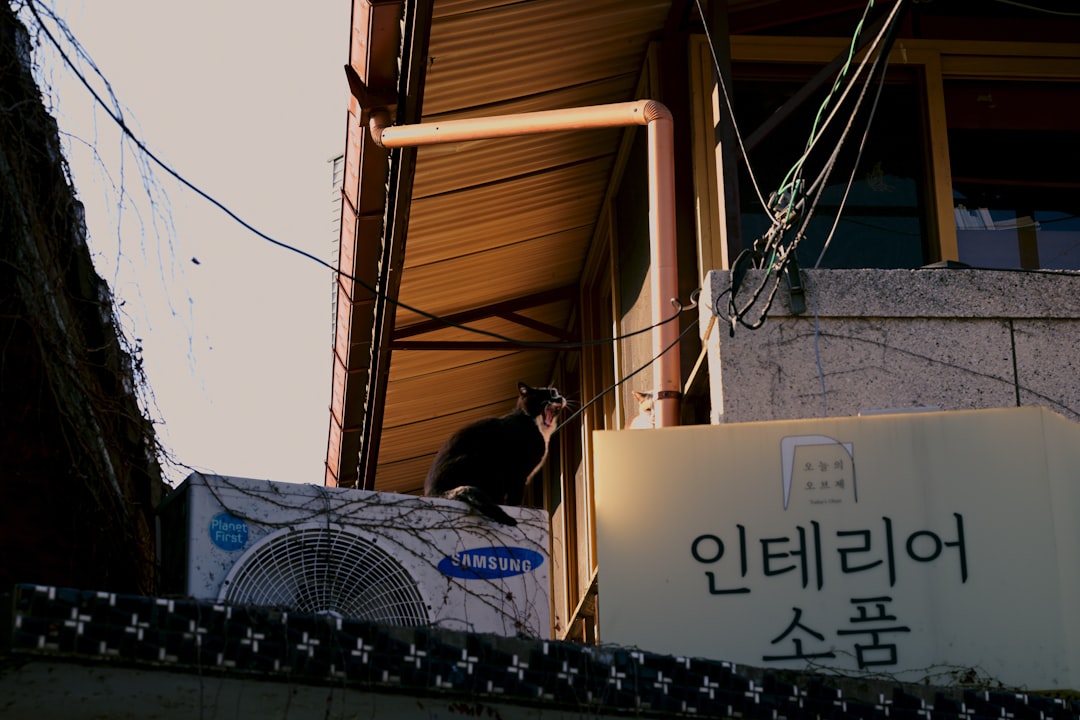 건강보험 자격득실확인서 인터넷 발급 방법 2026 — 제출처별 조회기간·PDF 저장 기준