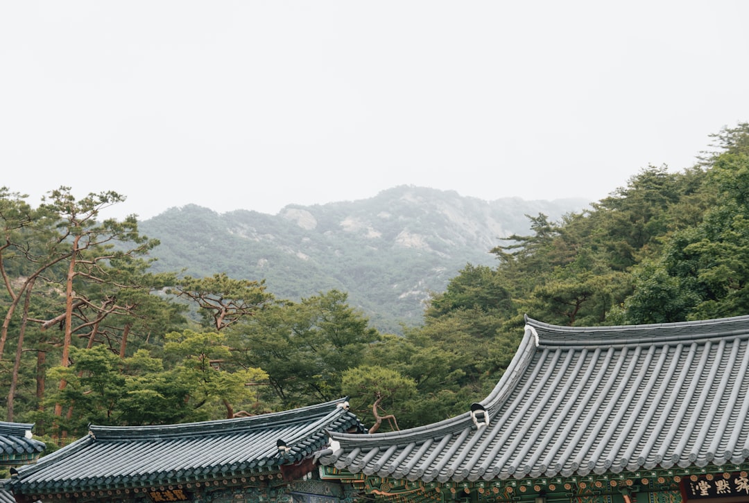 청년도약계좌 7월 신청